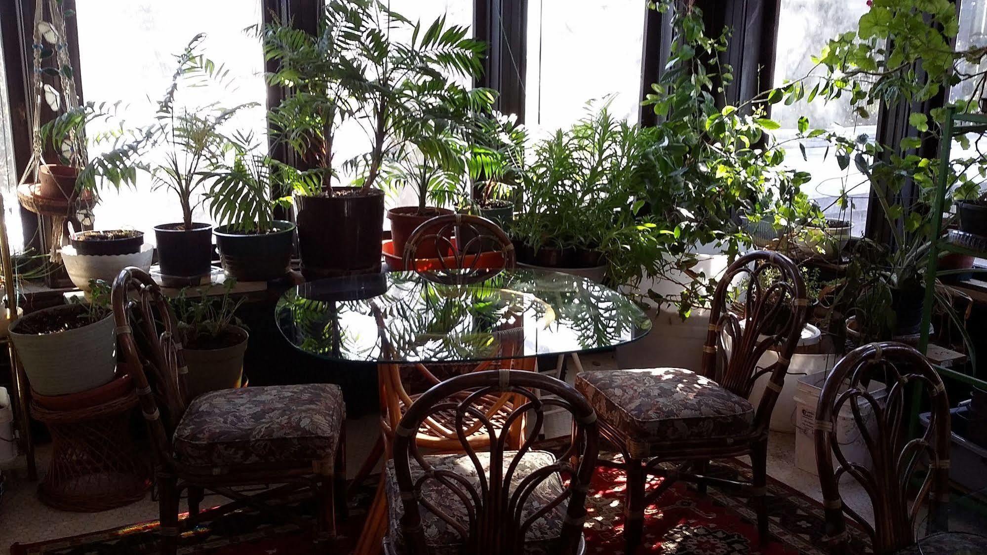 Chestnut Charm Bed & Breakfast Atlantic ภายนอก รูปภาพ